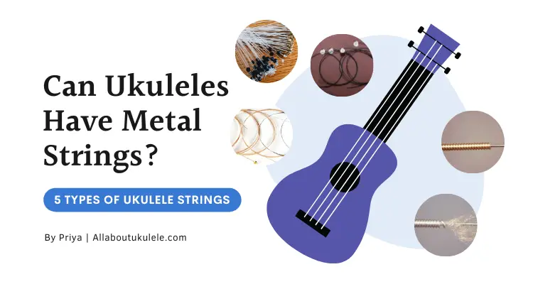 Can Ukuleles Have Metal Strings