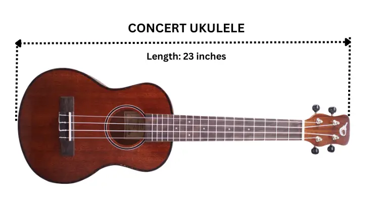 what is concert ukulele