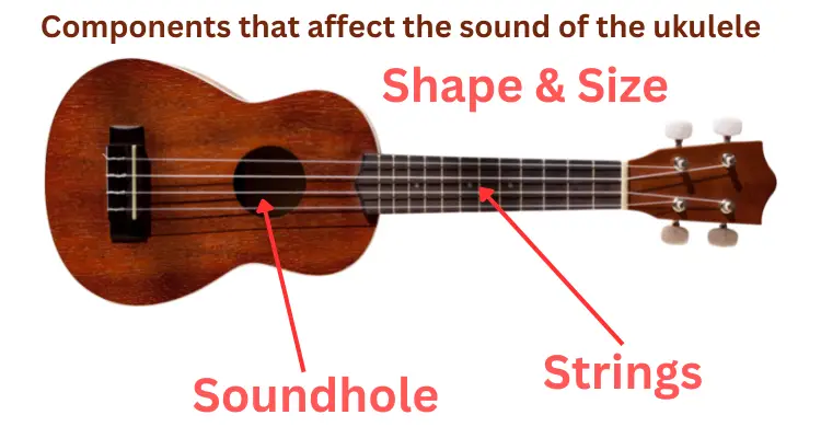 Components that affect the sound of the ukulele